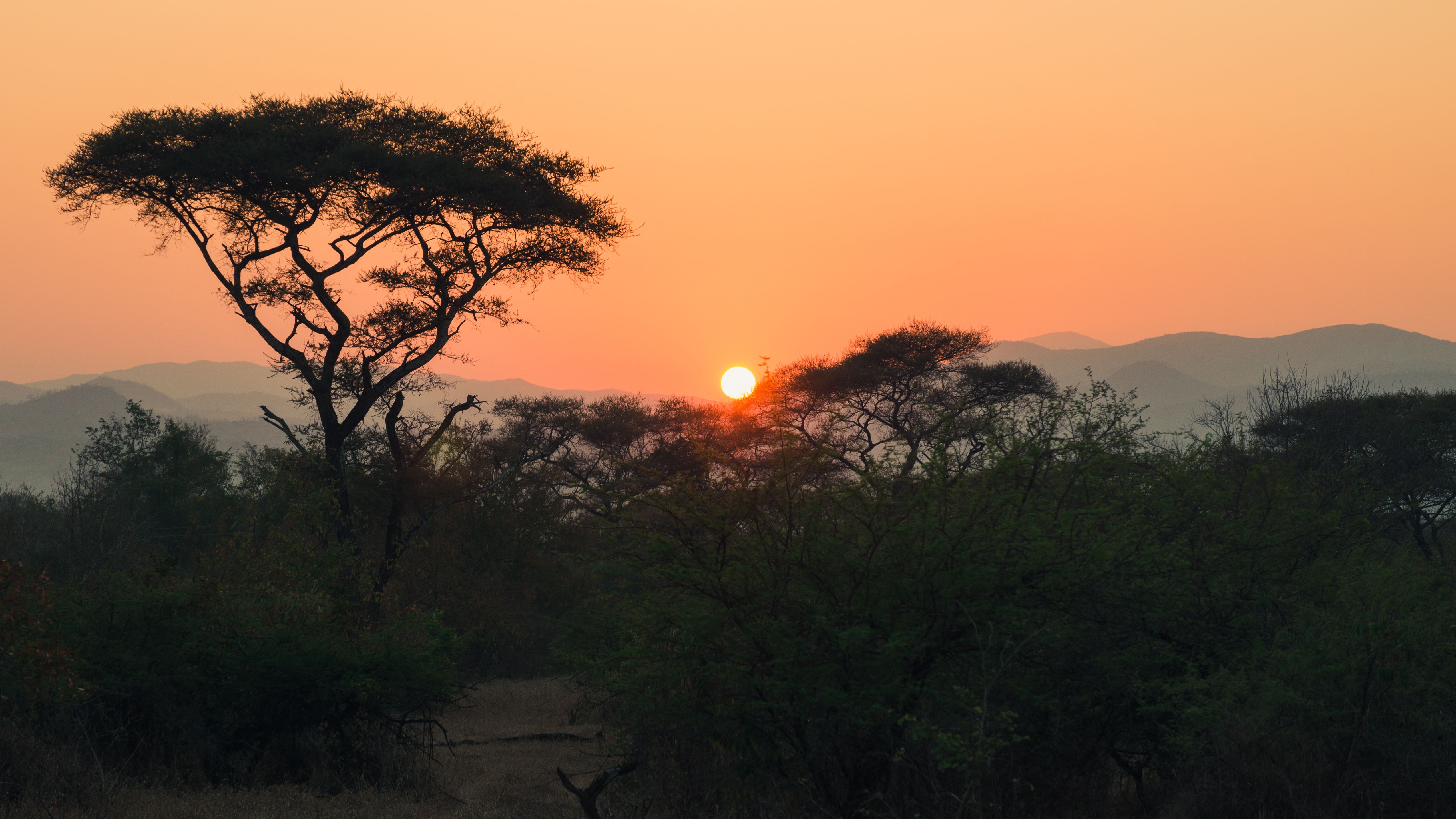 Sunrise over an African landscape.