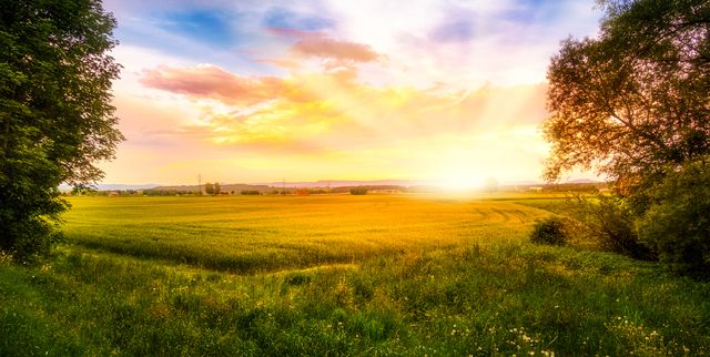 The sun rises over a country field