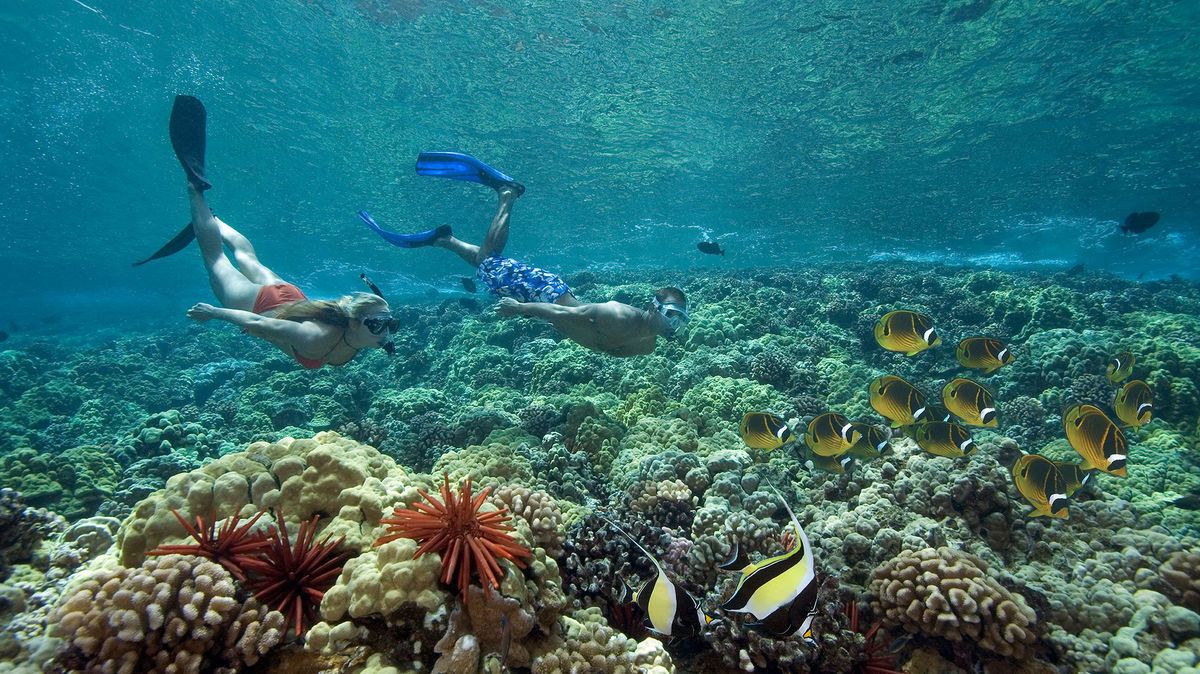 twee vrijduikers bewonderen maskerwimpelvissen en koraalvlinders op een rif in hawa