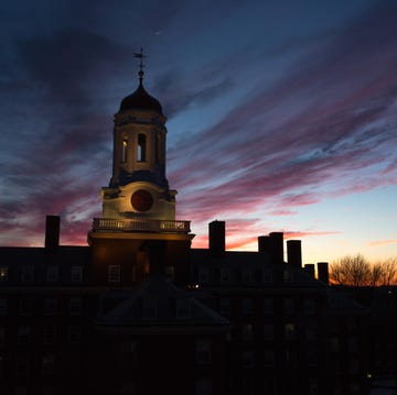 sunset glow havard