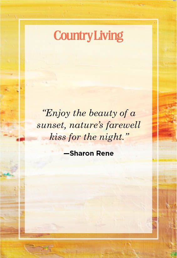 sunset quote about enjoying nature's farewell kiss