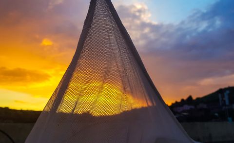 a sunset seen through a mosquito net