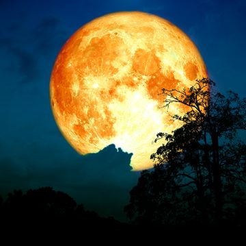 super strawberry moon back on cloud and tree in the field and night sky