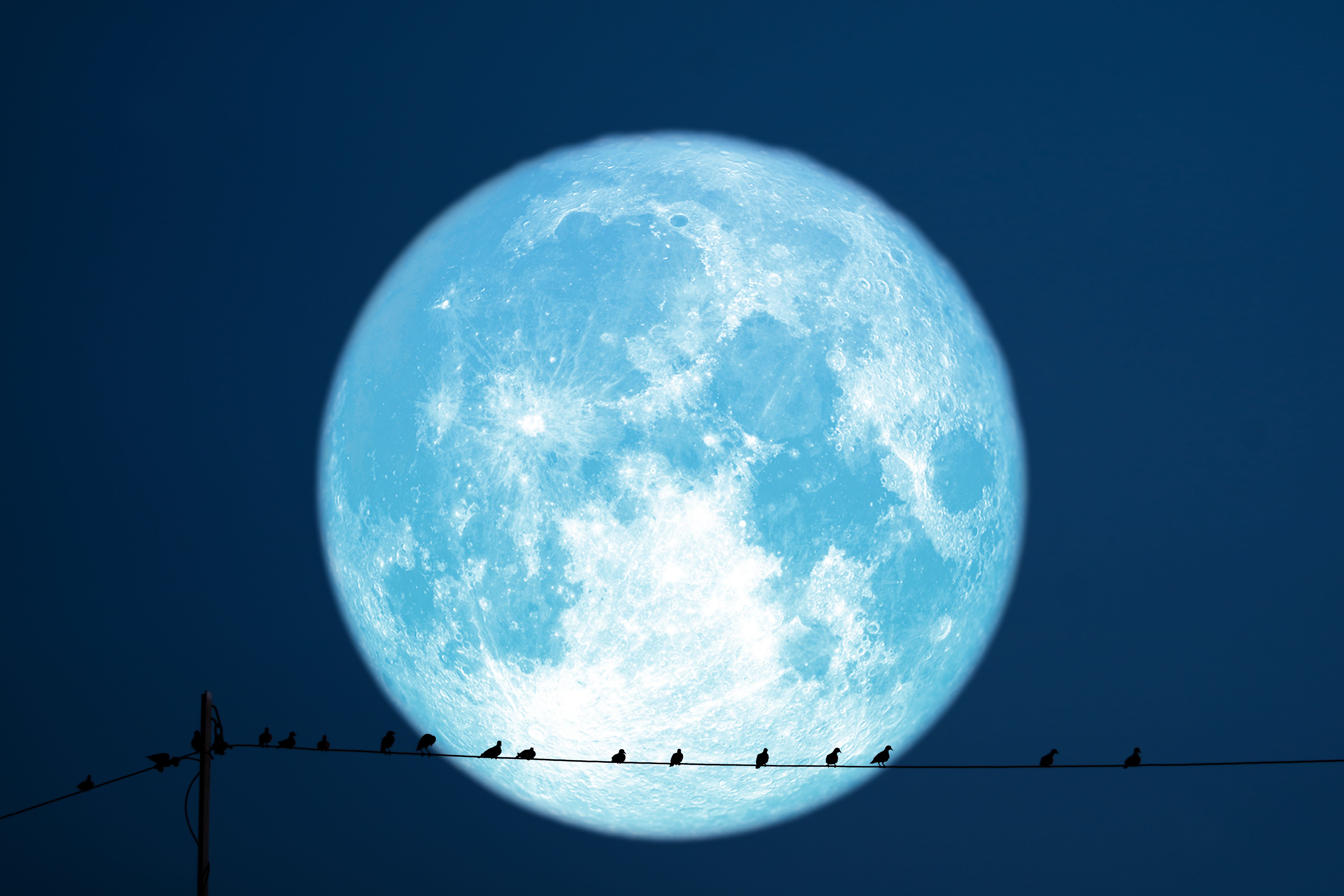 満月いつ】2022年6月14日は満月「ストロベリームーン」！最も美しく