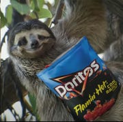 super bowl commercials super bowl commercials