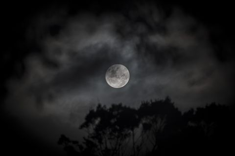 Supermoon on a cloudy night, surrounded by cloud and a tree silhouette