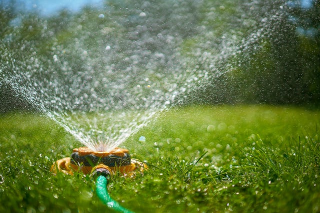 10 Best Garden Sprinklers For 2021 — Garden Water Sprinklers