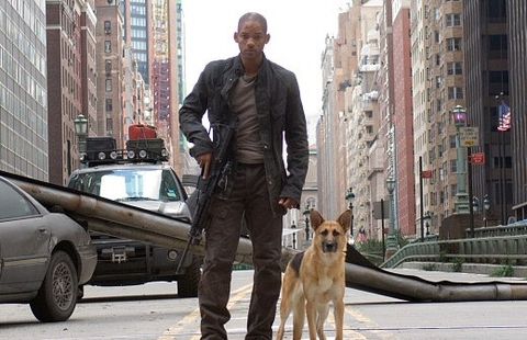 i am legend, a good housekeeping pick for best survival movies, stars will smith as the last man on earth