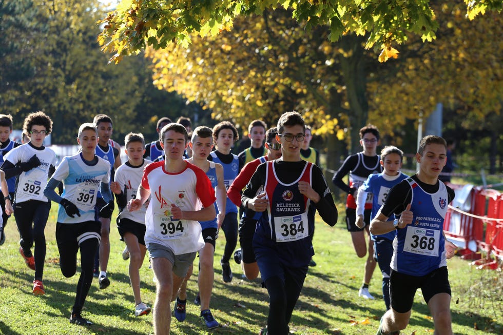 group of runners participating in a race on a sunny day