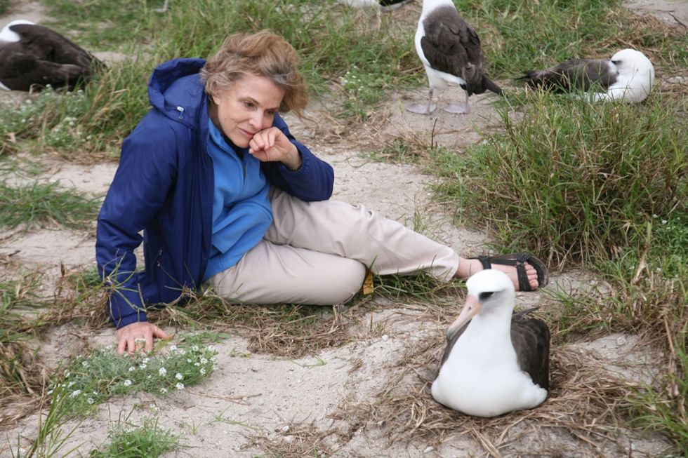 National Geographic ExplorerinResidence Sylvia Earle zit in januari 2012 naast Wisdom op Sand Island dat onderdeel uitmaakt van de atol Midway Earle deed baanbrekend onderzoek naar mariene ecosystemen