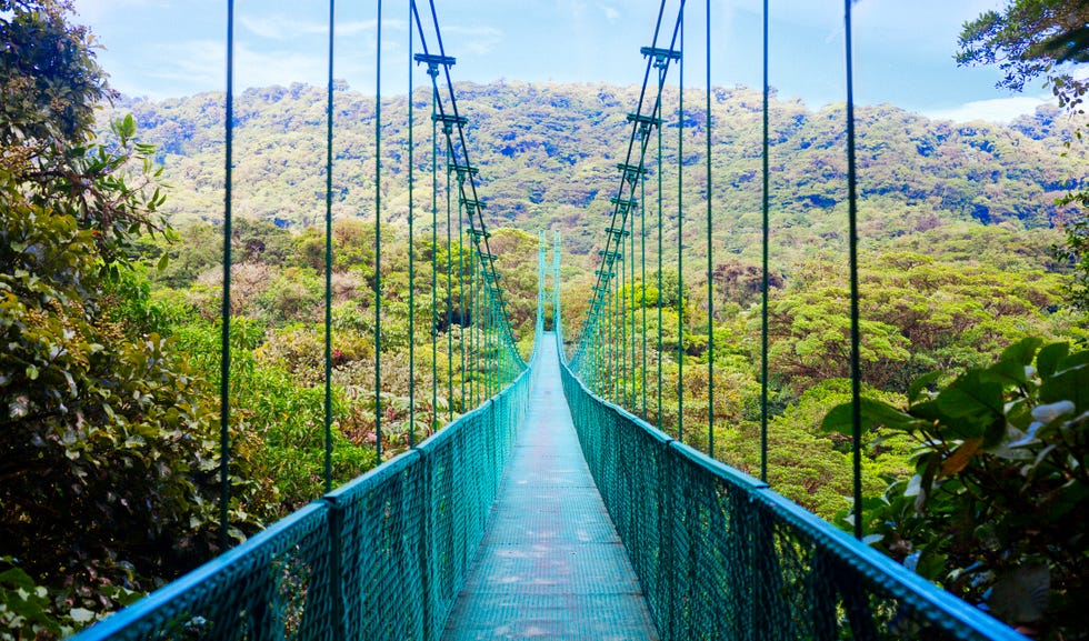 suspension bridge in rain forest, costa rica