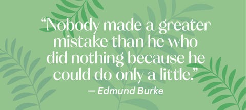 edmund burke quote