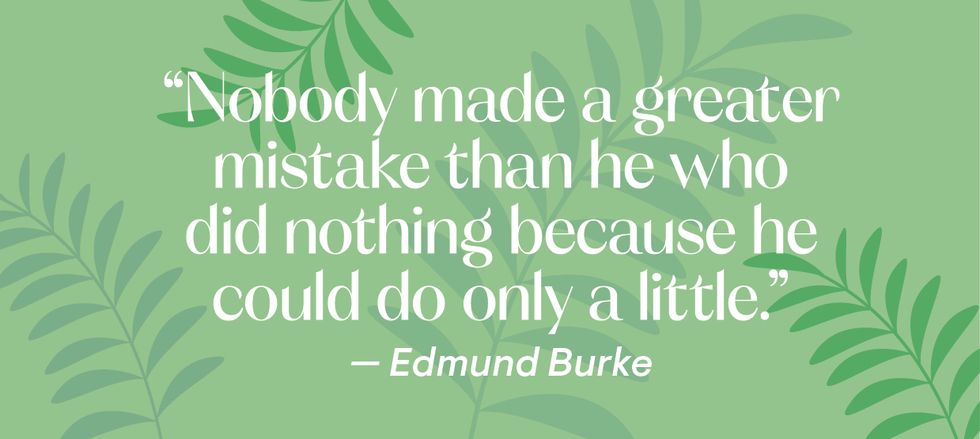edmund burke quote
