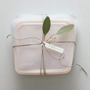 stasher bags and cork planter stasher bags and cork planter