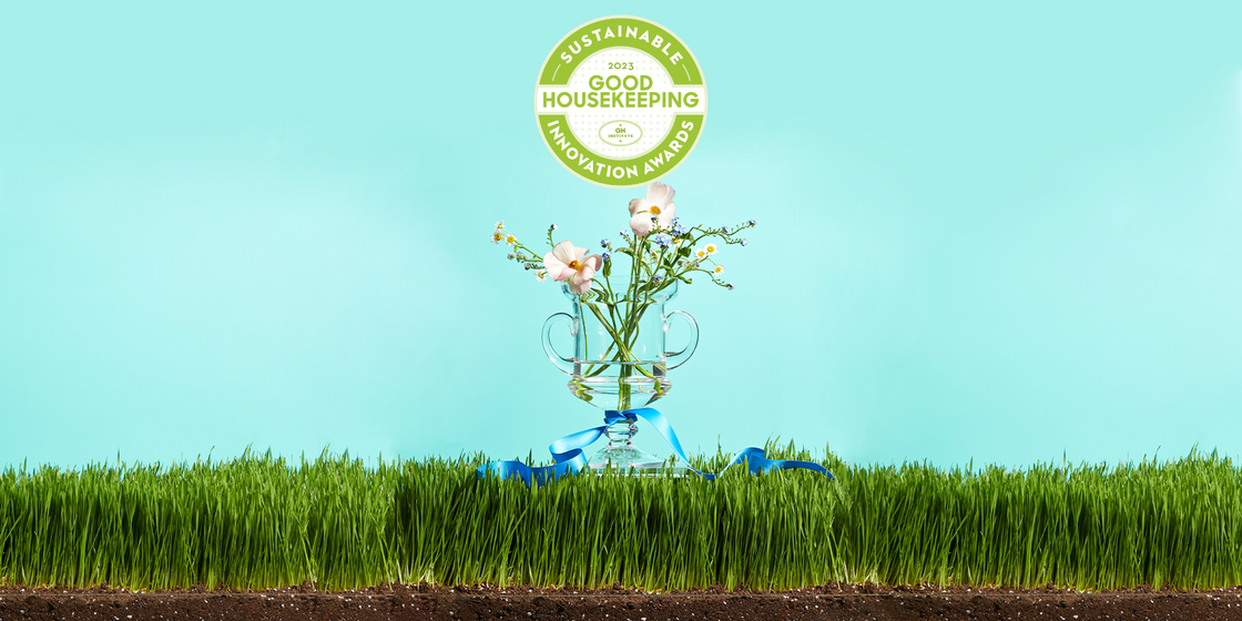 sustainable innovation awards