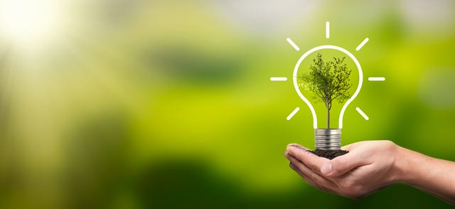 sustainable living