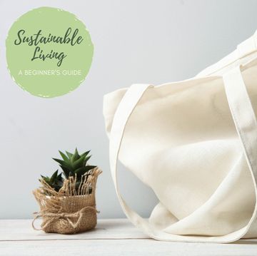 Eco friendly reusable recyclable white eco bag and succulent