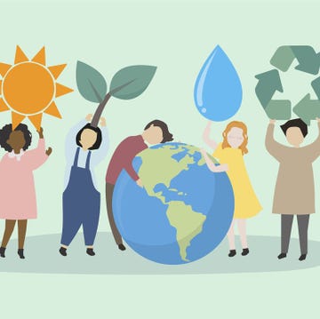 sustainability lockdown