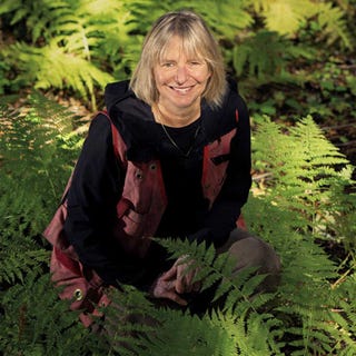 suzanne smiard