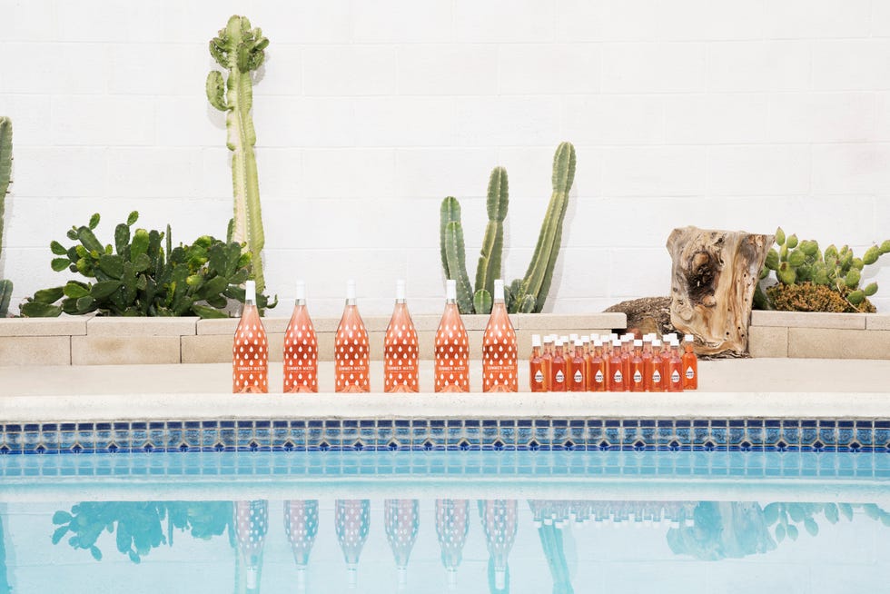 Property, Wall, Houseplant, Botany, Flowerpot, Design, Furniture, Swimming pool, Plant, Tree, 
