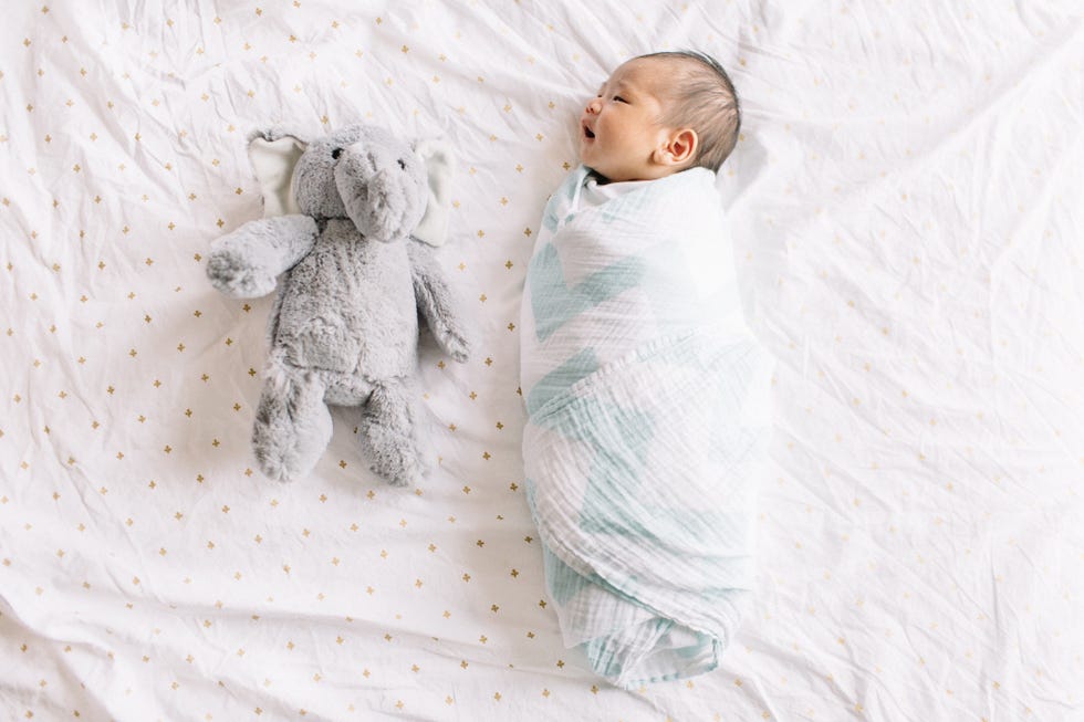 swaddled baby and toy stuffed elephant next to the baby