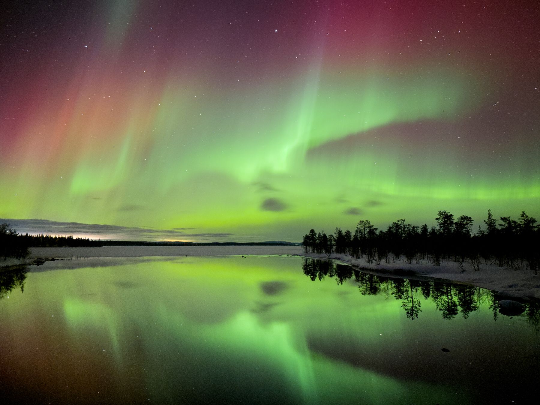 a green and purple aurora over a lake with trees and a body of water