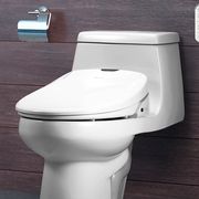 Toilet, Toilet seat, Plumbing fixture, Ceramic, Bathroom, Plumbing, 