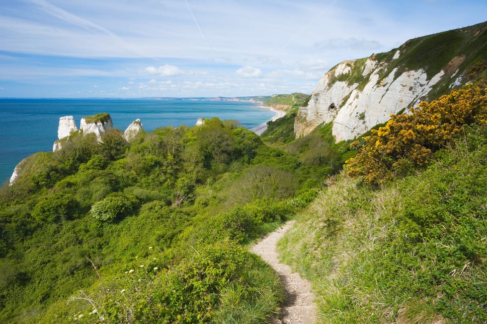 the south west coast path follows the edge of a cliff with a beach in the background