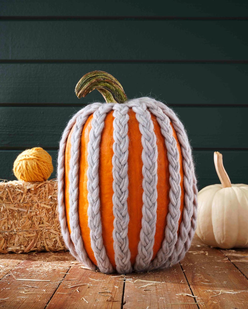 Cable knit sweater pumpkin cable knit sweater pumpkin