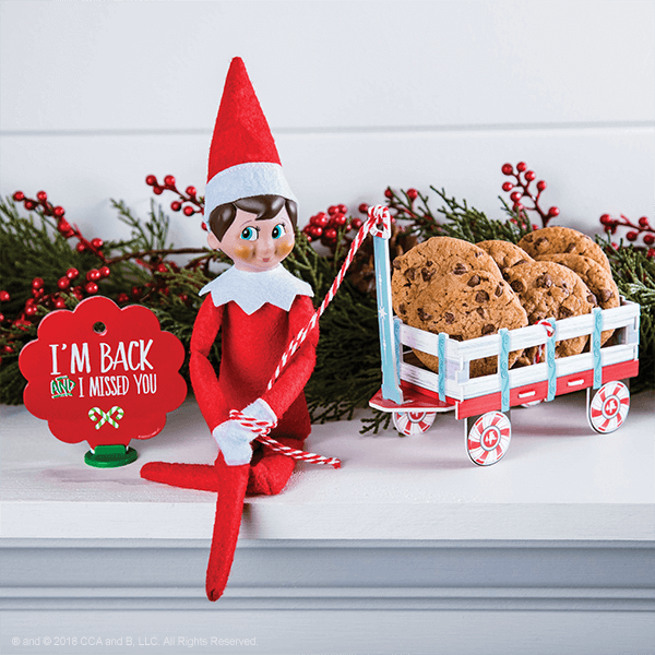 elf on the shelf return ideas cookies