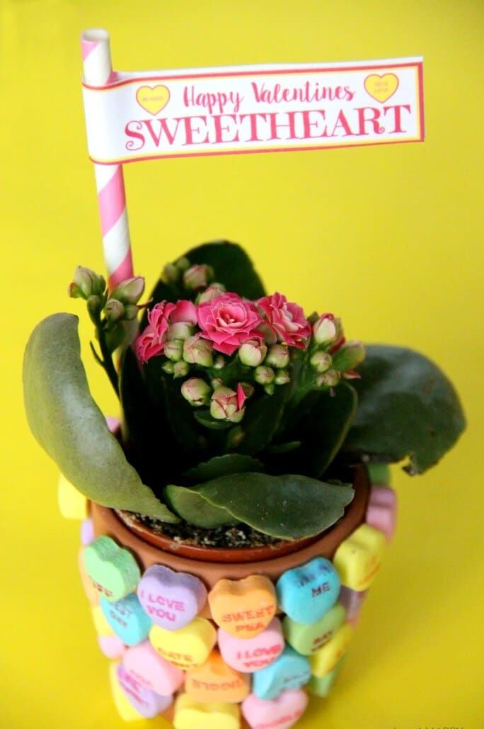 Sweetheart Conversation Hearts Candy Box Valentines Day Pendant Necklace,  Funny Interactive 3D Acrylic Be My Valentine Statement Jewelry 