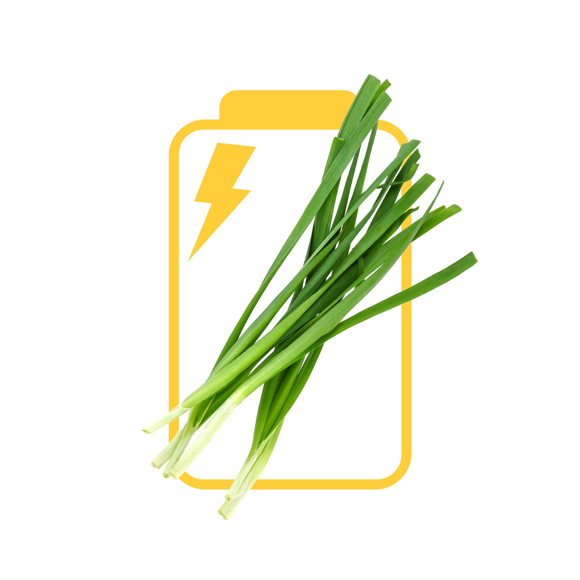 Vegetable, Chives, Leek, Plant, Welsh onion, Grass, Flowering plant, Garlic chives, Scallion, Food, 