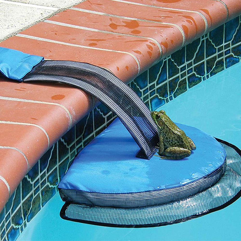 swimline froglog animal escape pool ramp