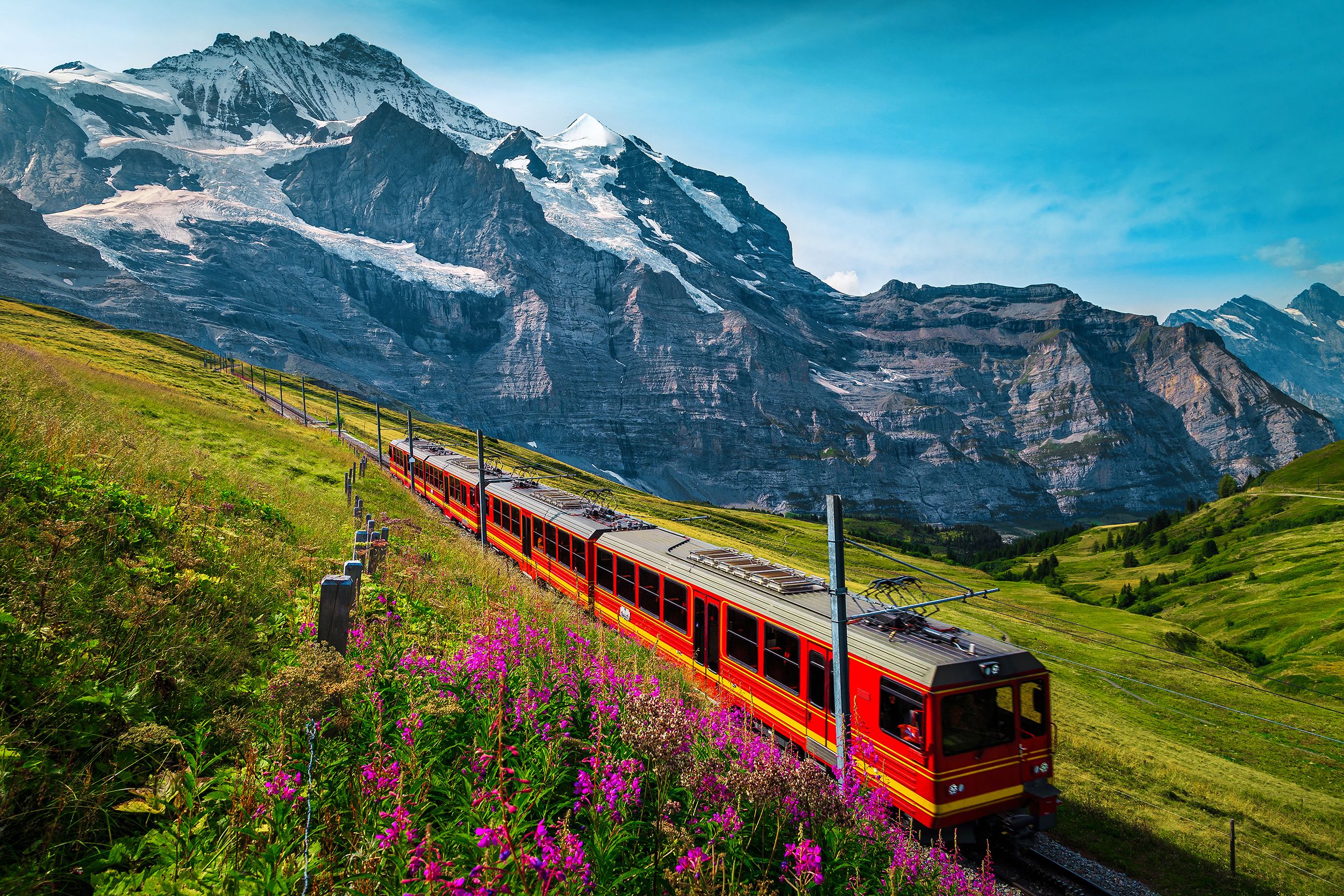 Swiss Alps Train Stock Photos and Images - 123RF