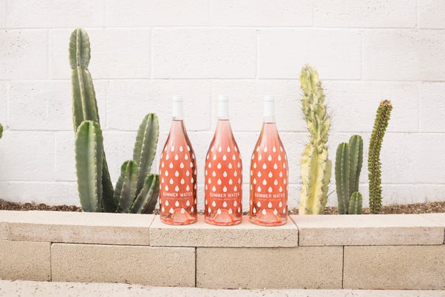 Flowerpot, Cactus, Houseplant, Pink, Botany, Plant, Flower, Xanthorrhoeaceae, Ceramic, Peach, 