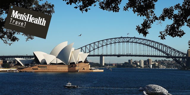 Arch bridge, Landmark, Bridge, Architecture, Opera house, Tied-arch bridge, Fixed link, Harbor, Opera, River, 