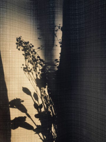 shadow of plants cast on a textured fabric