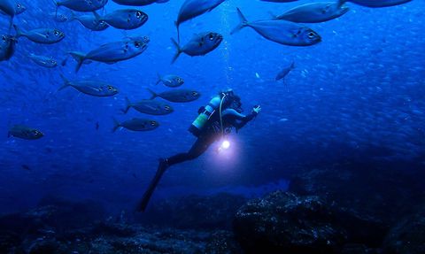 Cramp doet onderzoek in het water rond de Galpagoseilanden