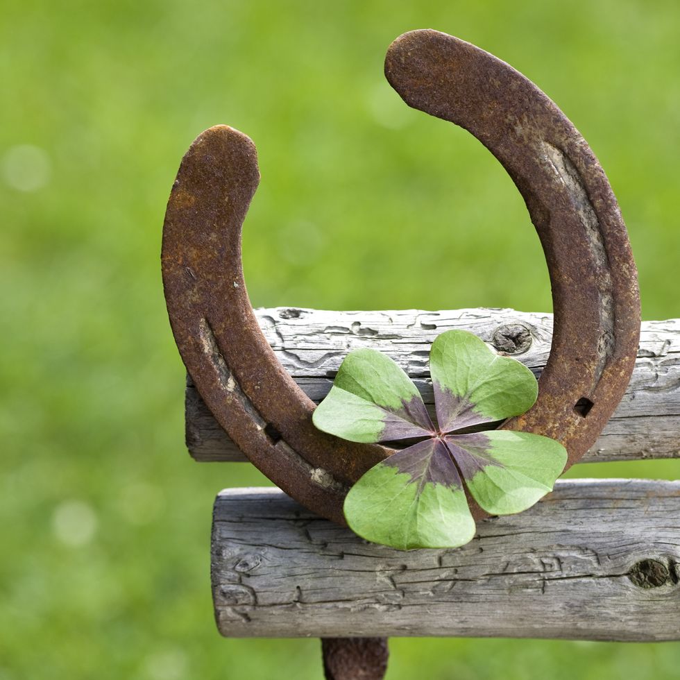 20 st. patrick's day superstitions lucky horseshoe