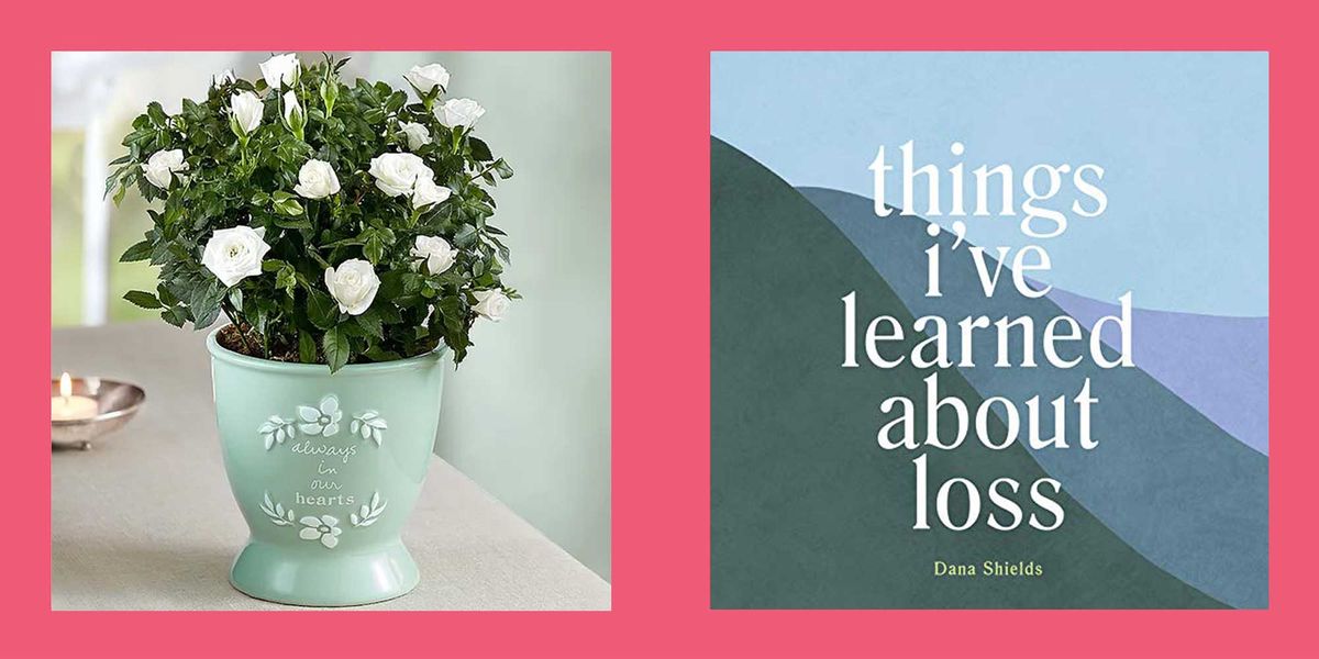 best sympathy gifts heartfelt memory rose plant and things i've learned about loss book