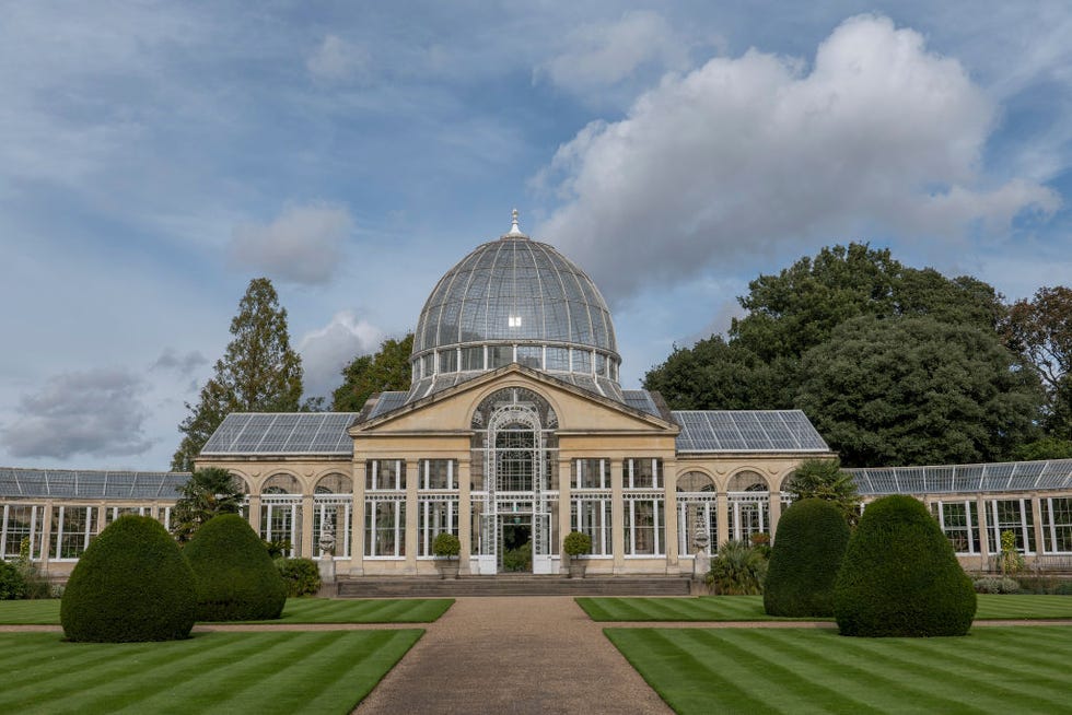 syon park greenhouse london