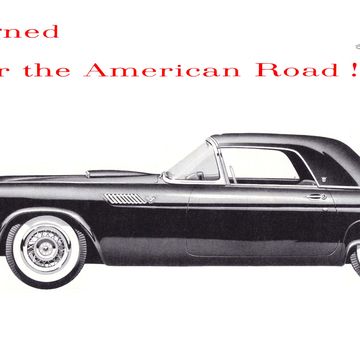 1955 ford thunderbird advertisement
