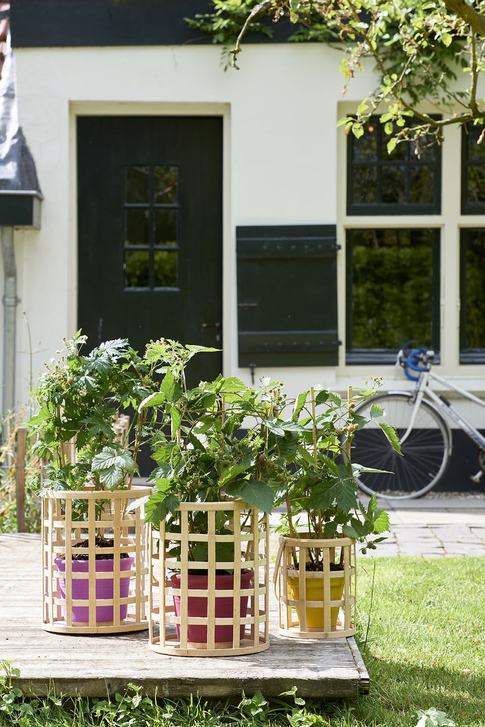 Flowerpot, House, Garden, Table, Plant, Flower, Home, Window, Porch, Yard, 