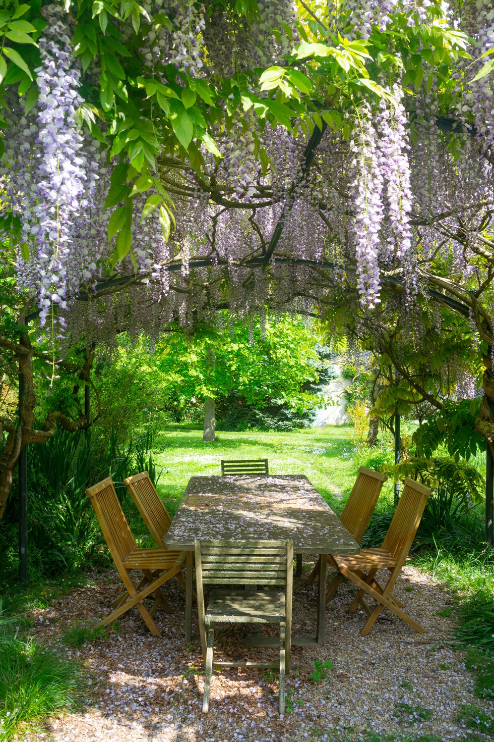 table with chairs under blooming wisteria and a pergola