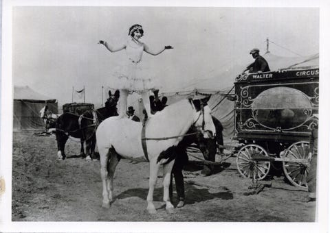 view of american trick rider tad lucas born barbara barnes, 1902   1990 balances, standing on the back of a horse, as she performs at the miller brothers 101 ranch, kay county, oklahoma, circa 1923 a wagon at left reads 'walter circus' founded by george miller, the 101 ranch was renamed the miller brothers 101 ranch when his sons, joseph, george jr, and zack, took over operations of the ranch in 1903 photo by oklahoma historical societygetty images