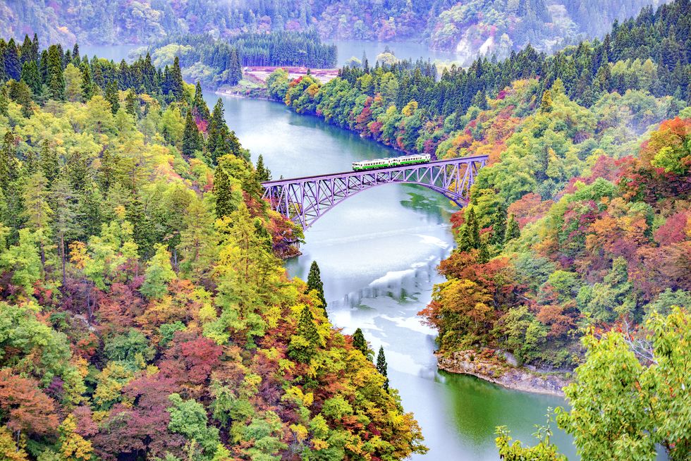 Tadami Line Train run across Tadami river in Autumn, Japan