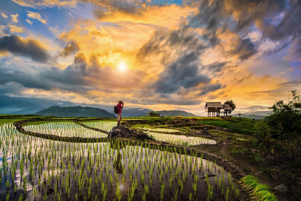 A Photographer bagpacker travel and take a caption of beautiful step of rice terrace paddle field during sunset in Chiangmai, Thailand. Ciangmai is the most of beautiful in nature place in Thailand, Southeast Asia. Travel concept.