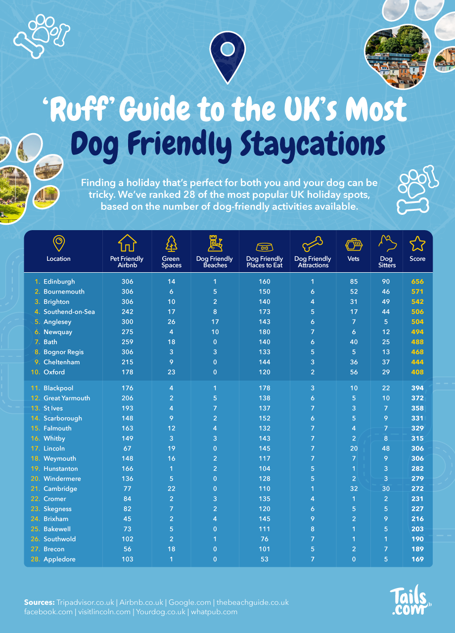 The best UK dog friendly holiday and staycation towns The best UK dog friendly holiday and staycation towns