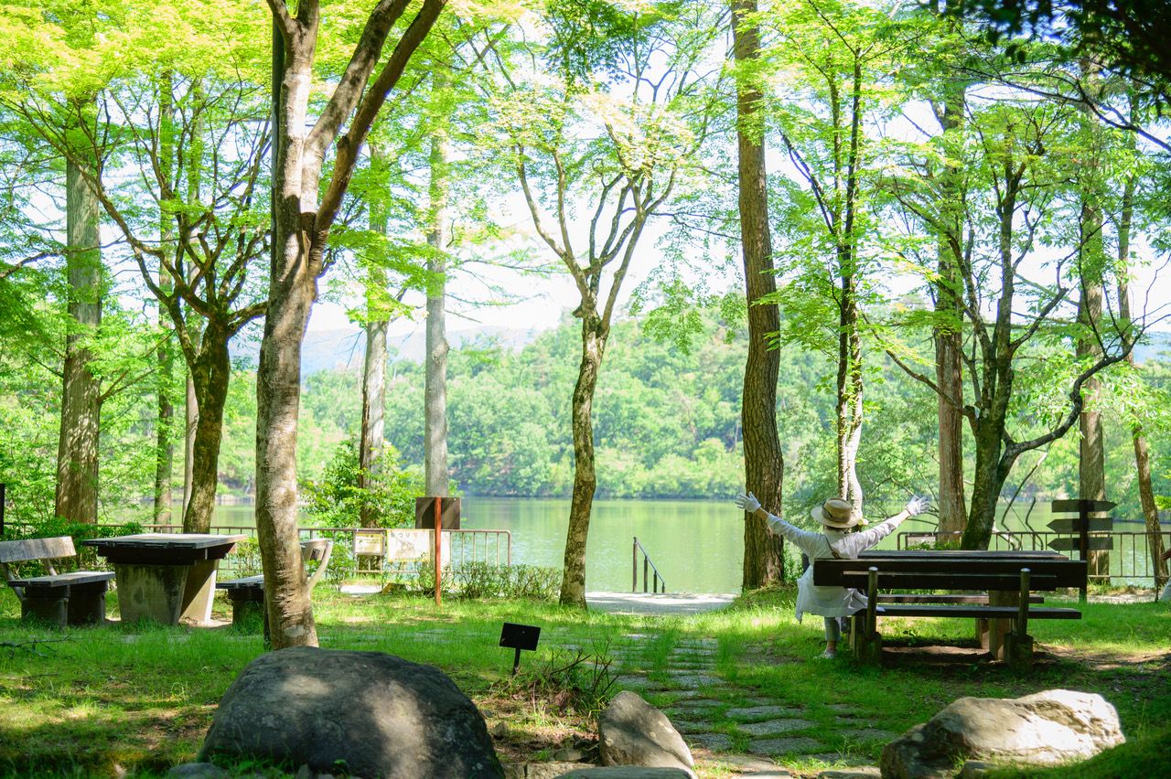 きょうの京都】四季のアルバムー春・夏・秋・冬ー