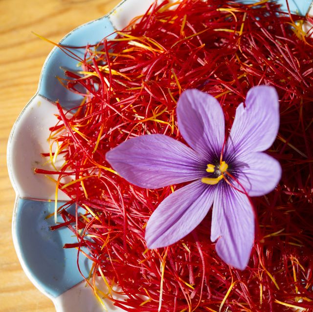 taliouine saffron harvest